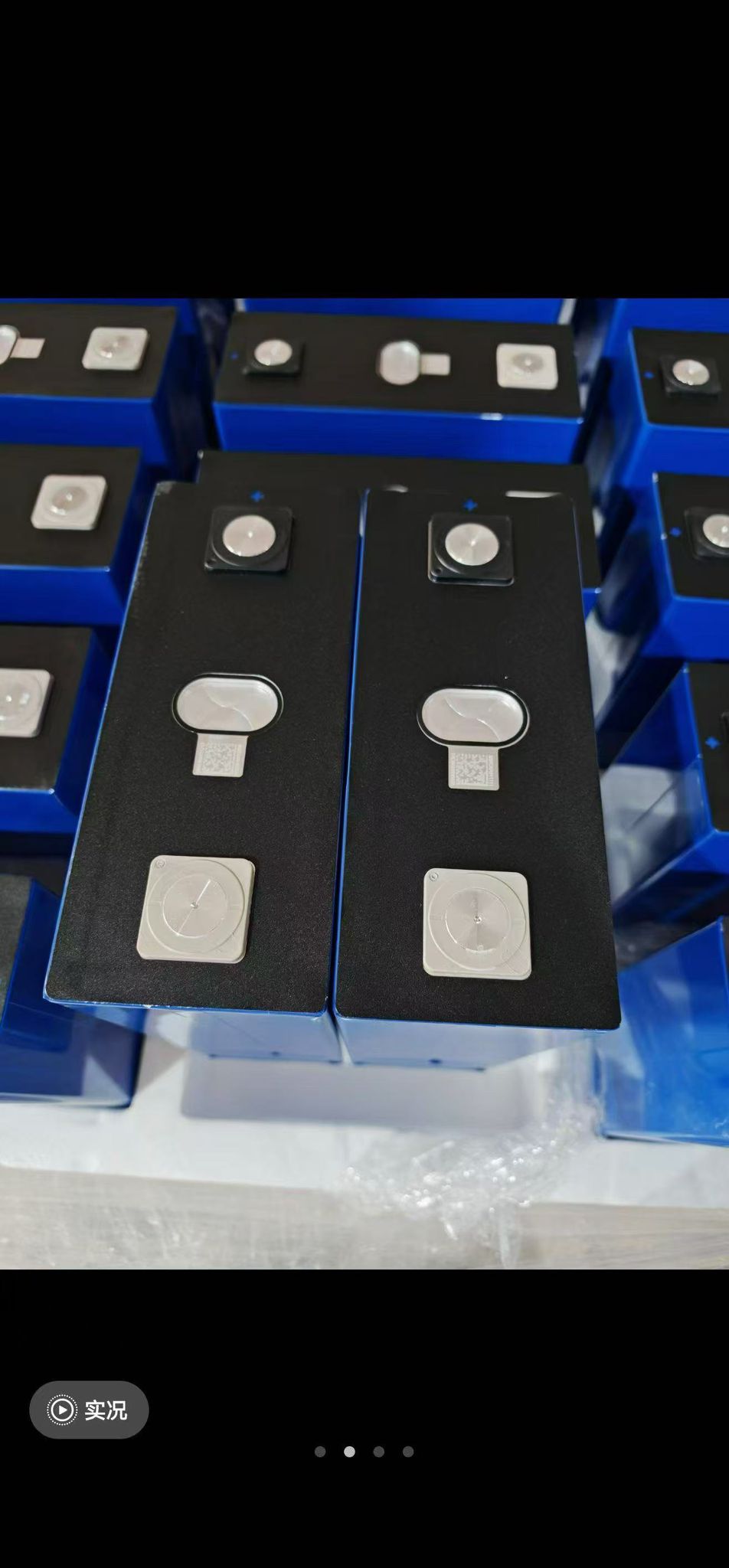 Cells in trays — top view